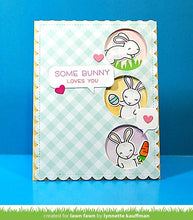 Load image into Gallery viewer, some bunny