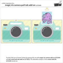 Load image into Gallery viewer, FALSE
