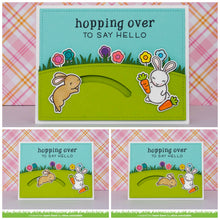 Load image into Gallery viewer, some bunny