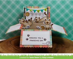 scalloped box card pop-up